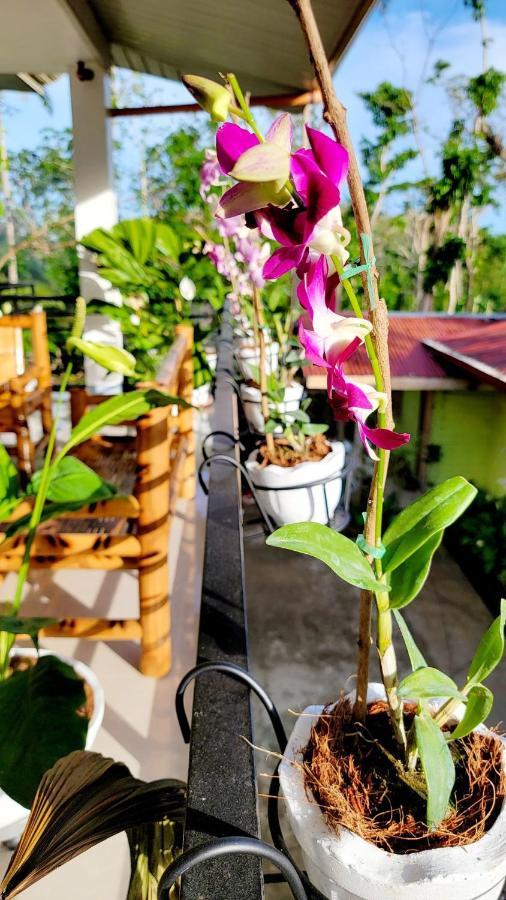 Matilde B&B - La Paz, Carmen Carmen  Ngoại thất bức ảnh